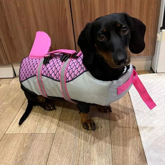 chien saucisse gilet de sauvetage chien rose