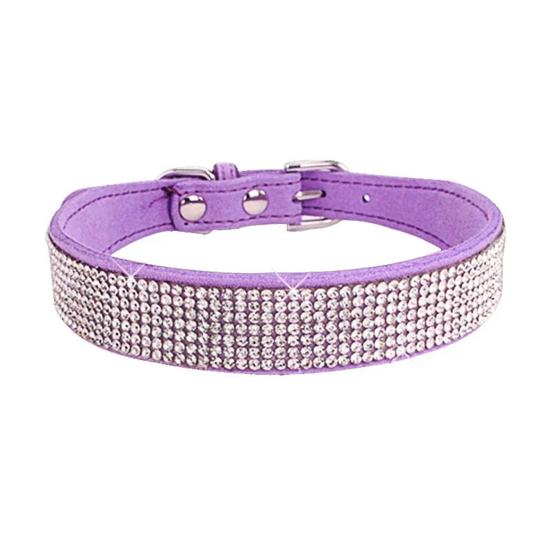 collier chien brillant mauve