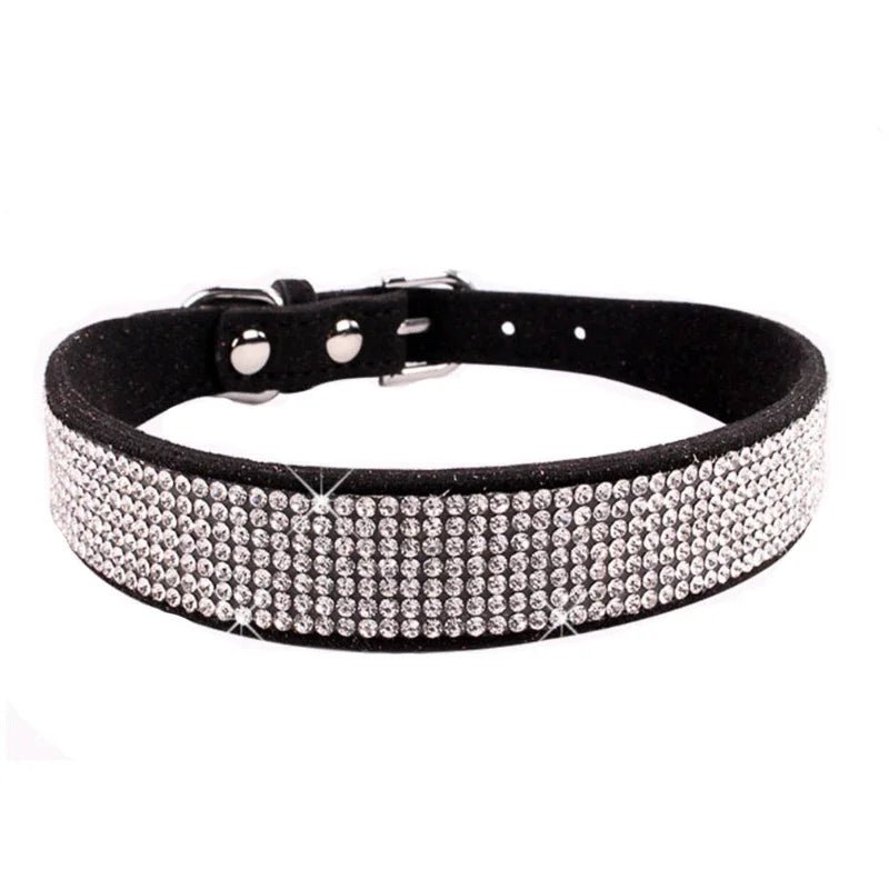 collier-chien-brillant-noir