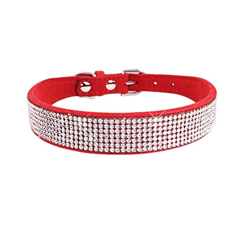 collier chien brillant rouge