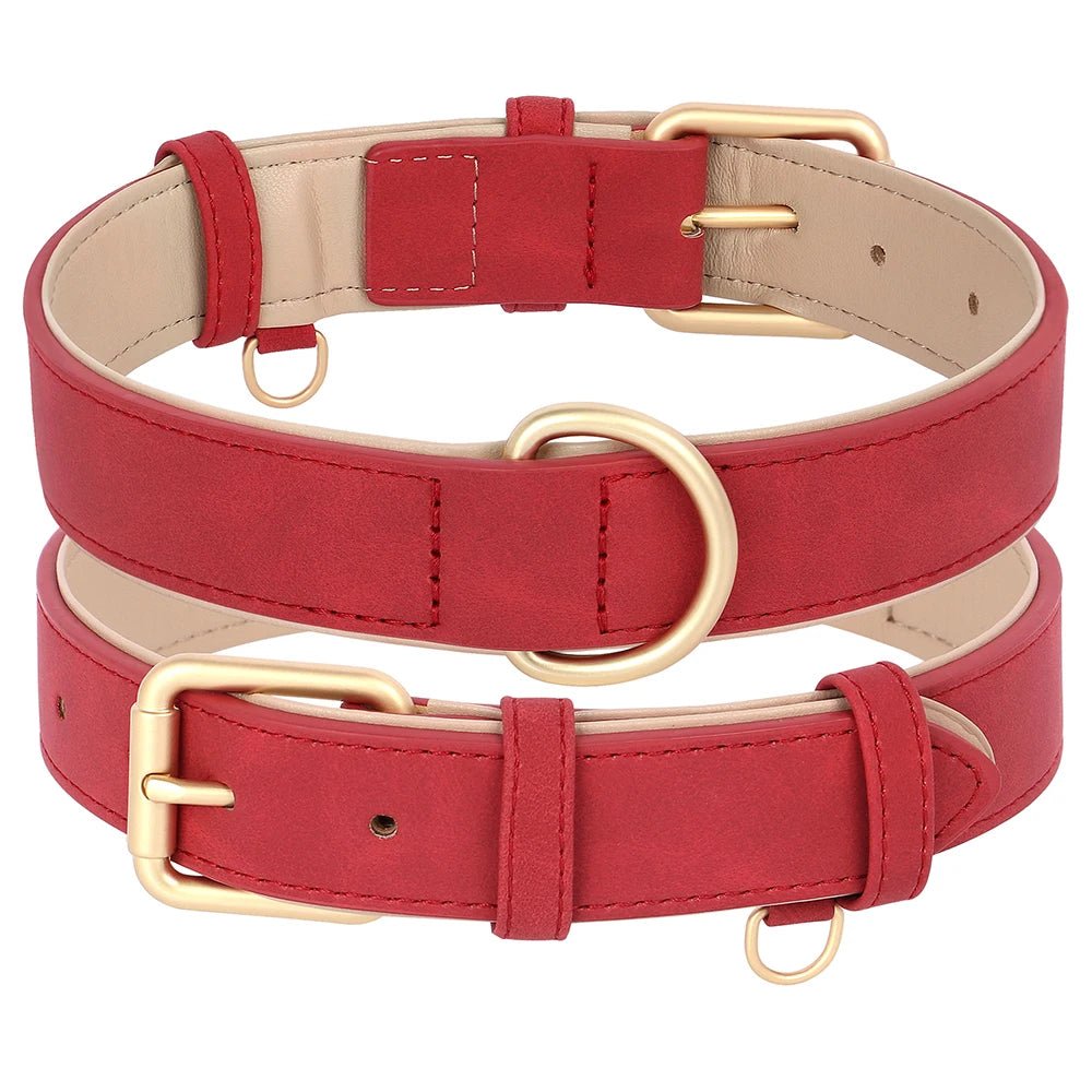 Collier élégant pour chien – Ensemble confort et style