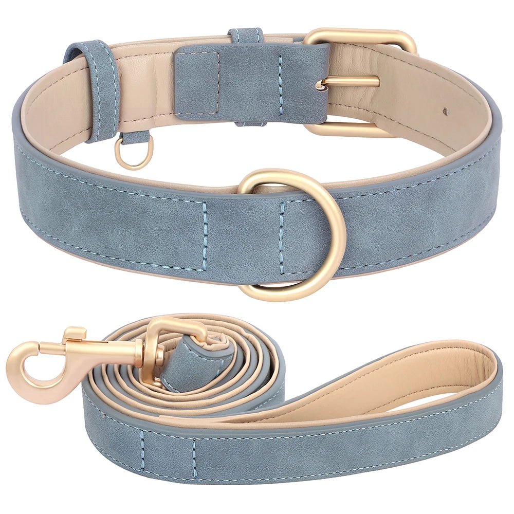 Collier élégant pour chien – Ensemble confort et style