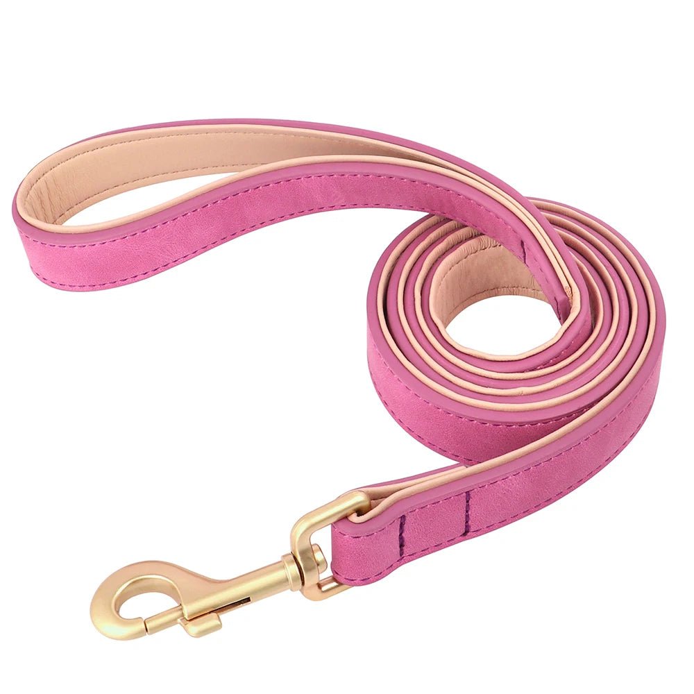 Collier élégant pour chien – Ensemble confort et style