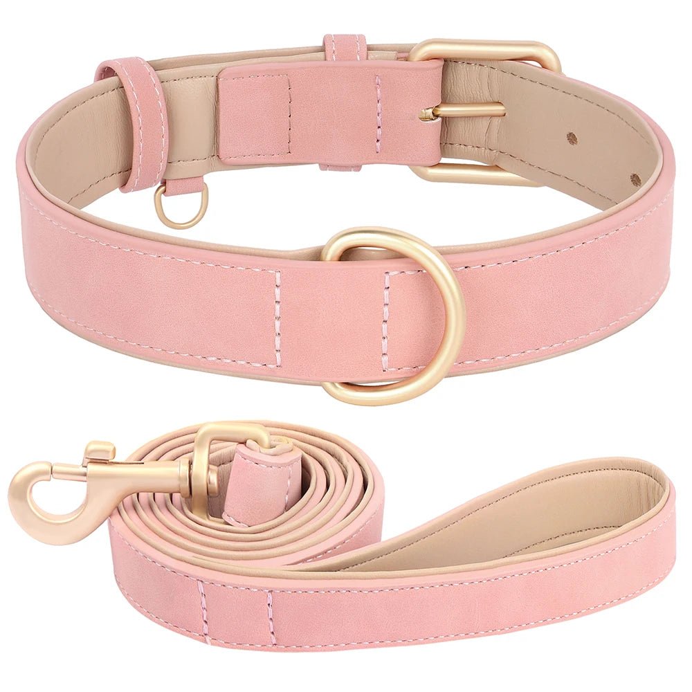 Collier élégant pour chien – Ensemble confort et style