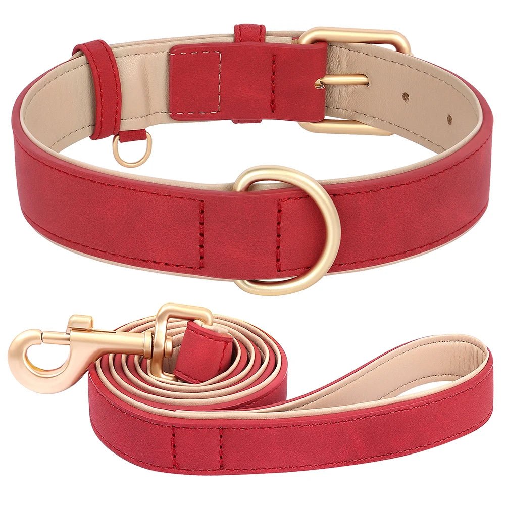 Collier élégant pour chien – Ensemble confort et style