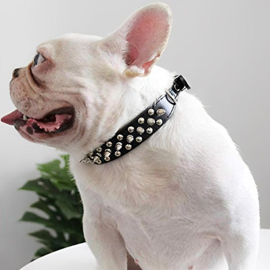 Collier et laisse Rock Chic pour chien â Style cuir Ă©lĂ©gant