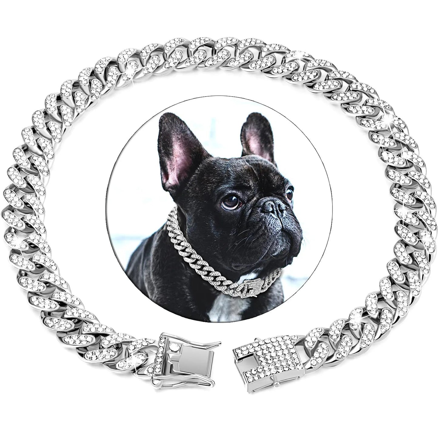 Collier pour chien diamant – Élégance et confort chic