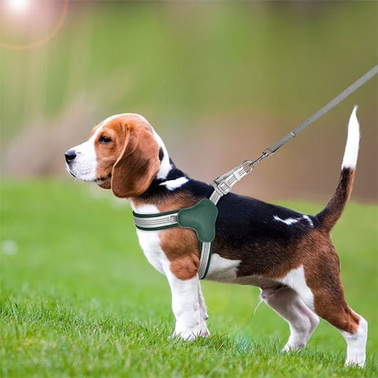 beagle harnais chien vert reflechissant