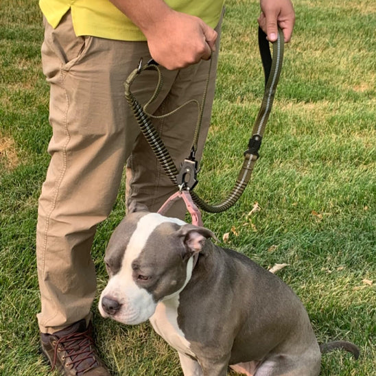 Laisse multifonction pour chien – Tactique 4 en 1 robuste et sécurisée