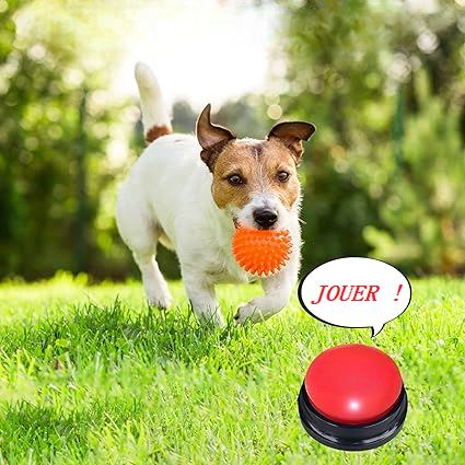 jack russell jouet pour chien chienparlant rouge
