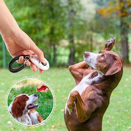 chien fait le beau suite au click jouet maitre avec jouet pour chien clicker