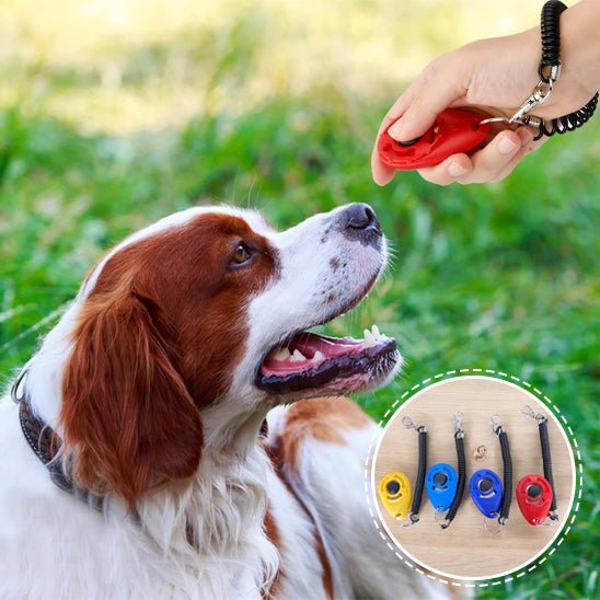 jouet pour chien clicker avec chien et différente couleur de clicker