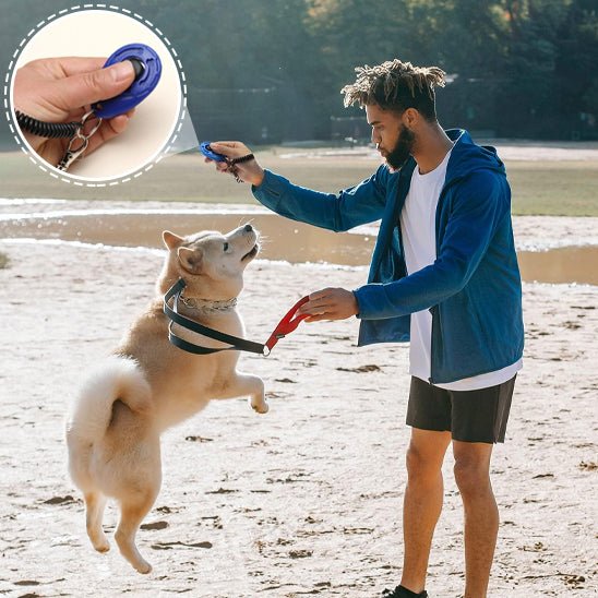 chien qui saute click de son maitre avec le jouet pour chien clicker