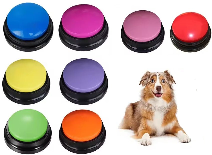 chien jouet pour chien interactif bouton choix de couleur
