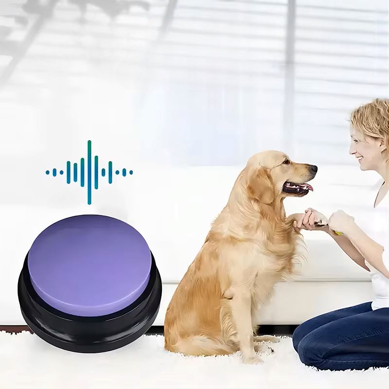 jouet pour chien interactif chienparlant violet