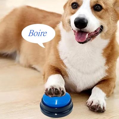 chien jouet pour chien chienparlant bleu boire