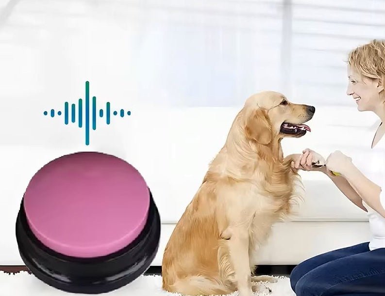 golden jouet interactif pour chien chienparlant rose