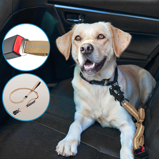 labrador vehicule laisse pour chien ceinture de securite