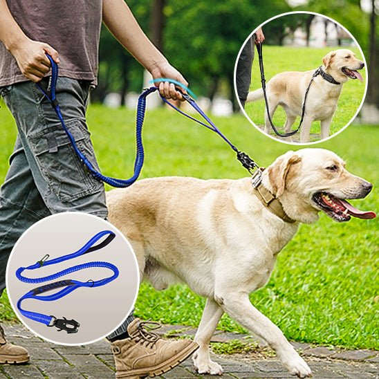 Laisse multifonction pour chien – Tactique 4 en 1 robuste et sécurisée