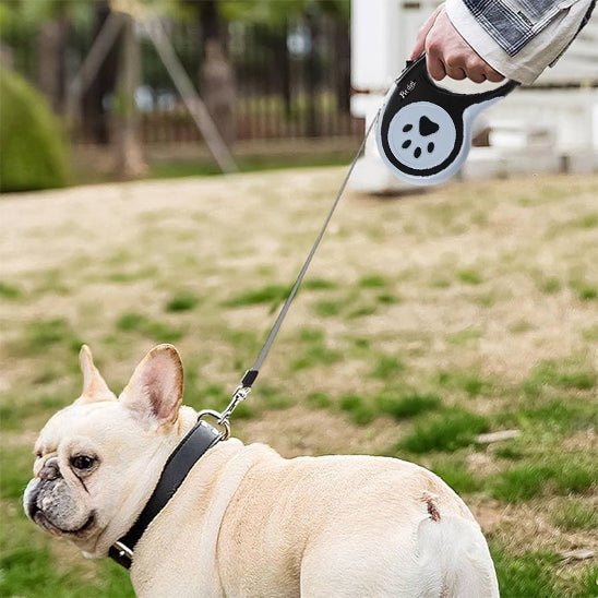 Laisse rétractable pour chien – Promenade avec liberté et sécurité