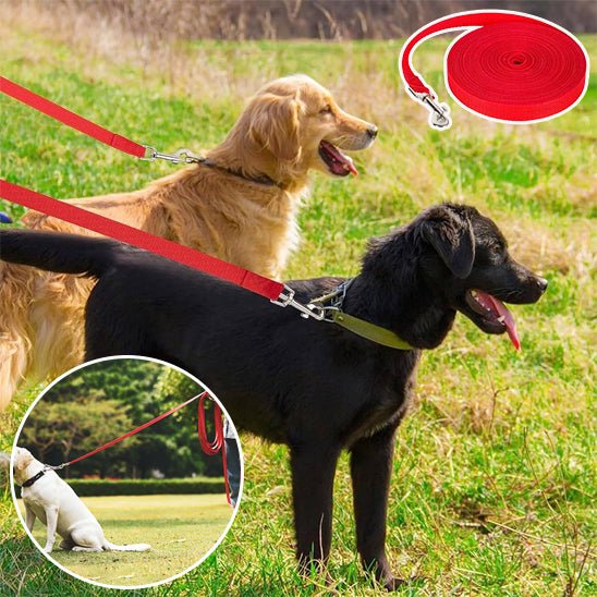 Longe pour chien – Laisse d'entraînement longue distance
