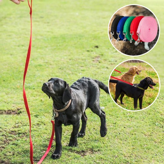 Longe pour chien – Laisse d'entraînement longue distance