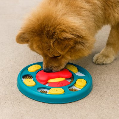 Gamelle anti glouton Chien | DigestiMax