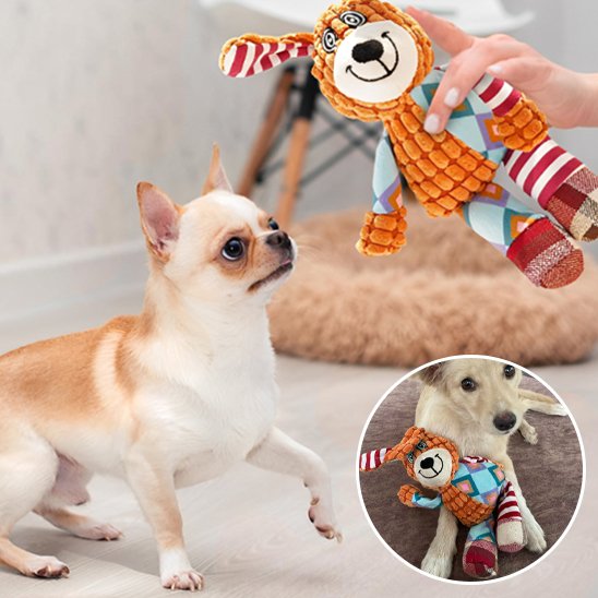 Peluche pour chien | RobustPlay