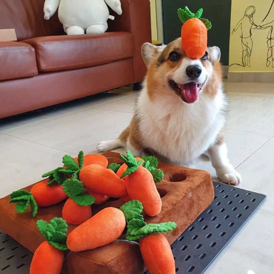 Jouet pour chien | Stimulateur Mental