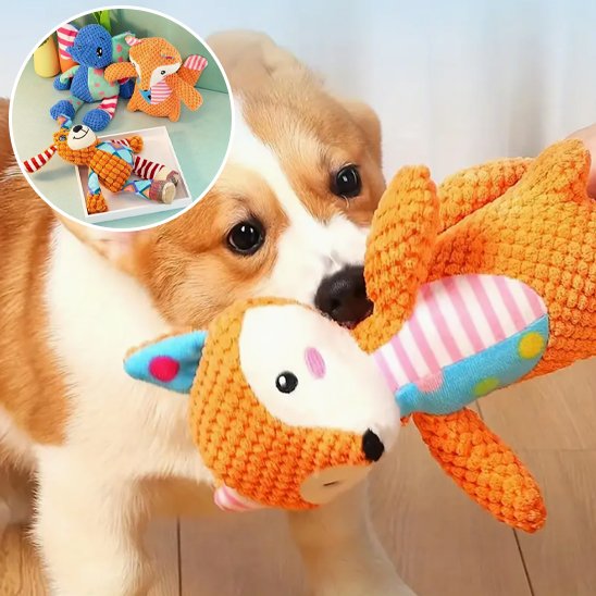 Peluche pour chien | RobustPlay