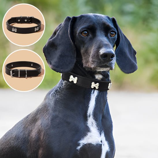 chien noir collier chien en cuir avec motif os