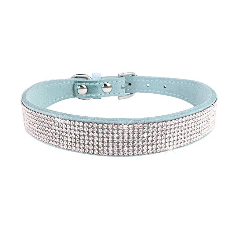 collier chien brillant bleu