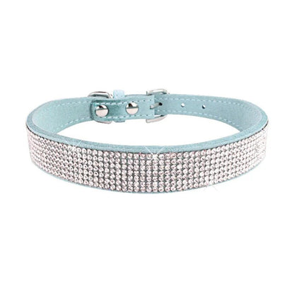 collier chien brillant bleu