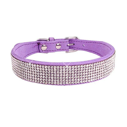 collier chien brillant mauve