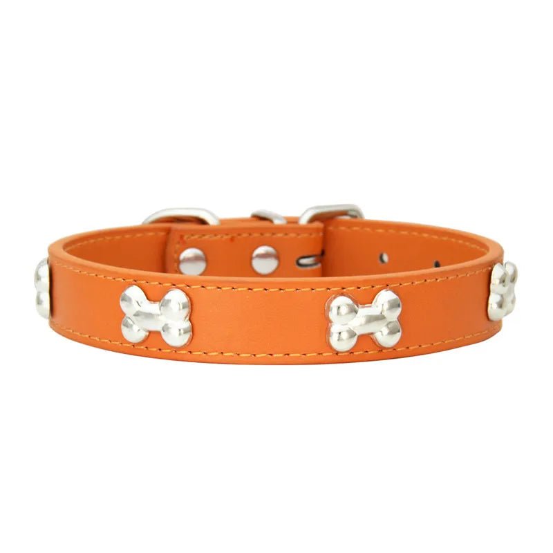 collier chien orange en cuir avec motif os