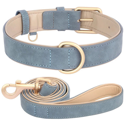 Collier élégant pour chien – Ensemble confort et style