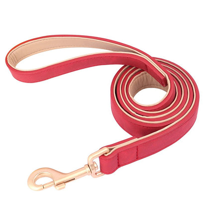 Collier élégant pour chien – Ensemble confort et style
