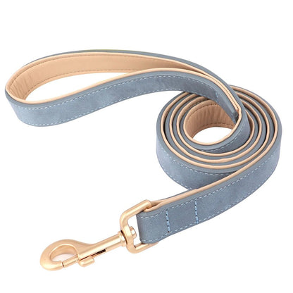 Collier élégant pour chien – Ensemble confort et style