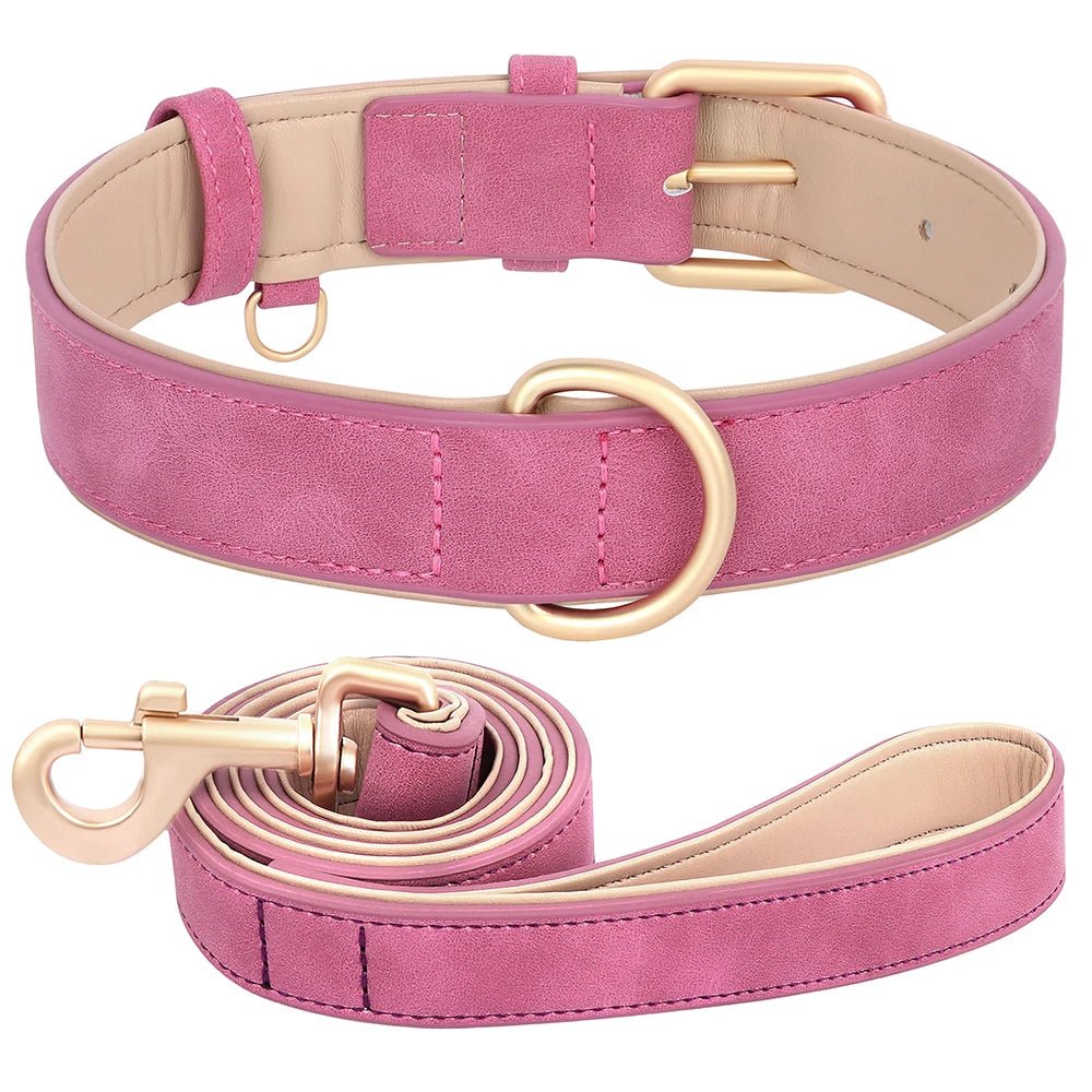 Collier élégant pour chien – Ensemble confort et style