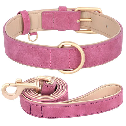 Collier élégant pour chien – Ensemble confort et style