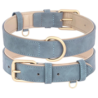 Collier élégant pour chien – Ensemble confort et style