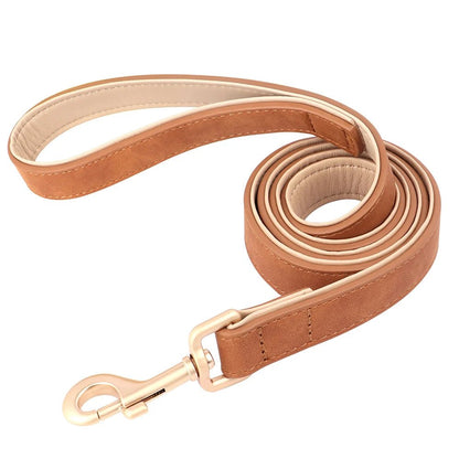 Collier élégant pour chien – Ensemble confort et style