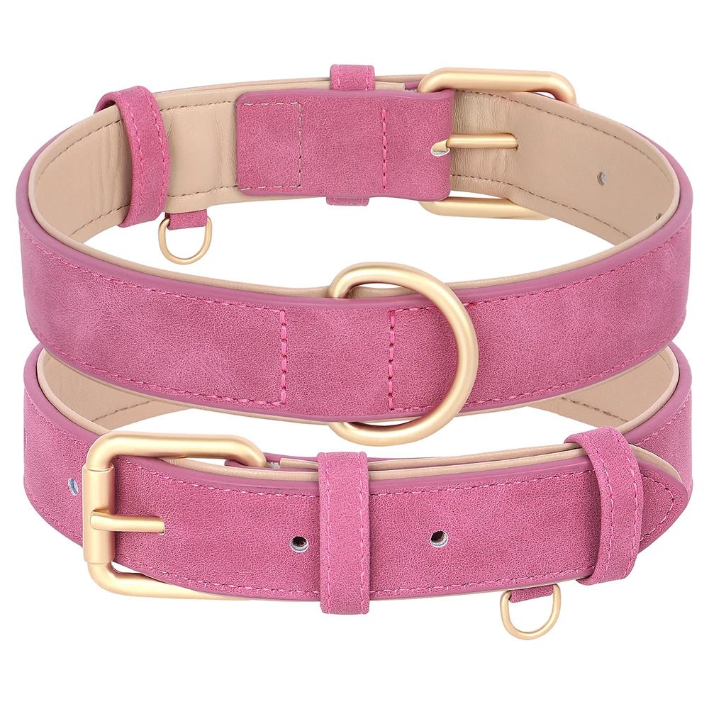 Collier élégant pour chien – Ensemble confort et style