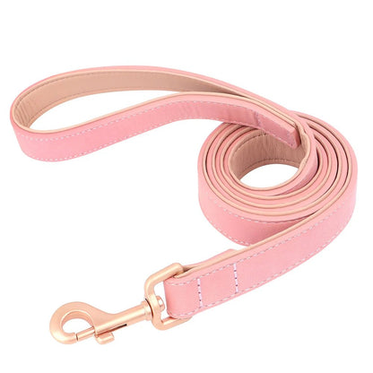 Collier élégant pour chien – Ensemble confort et style