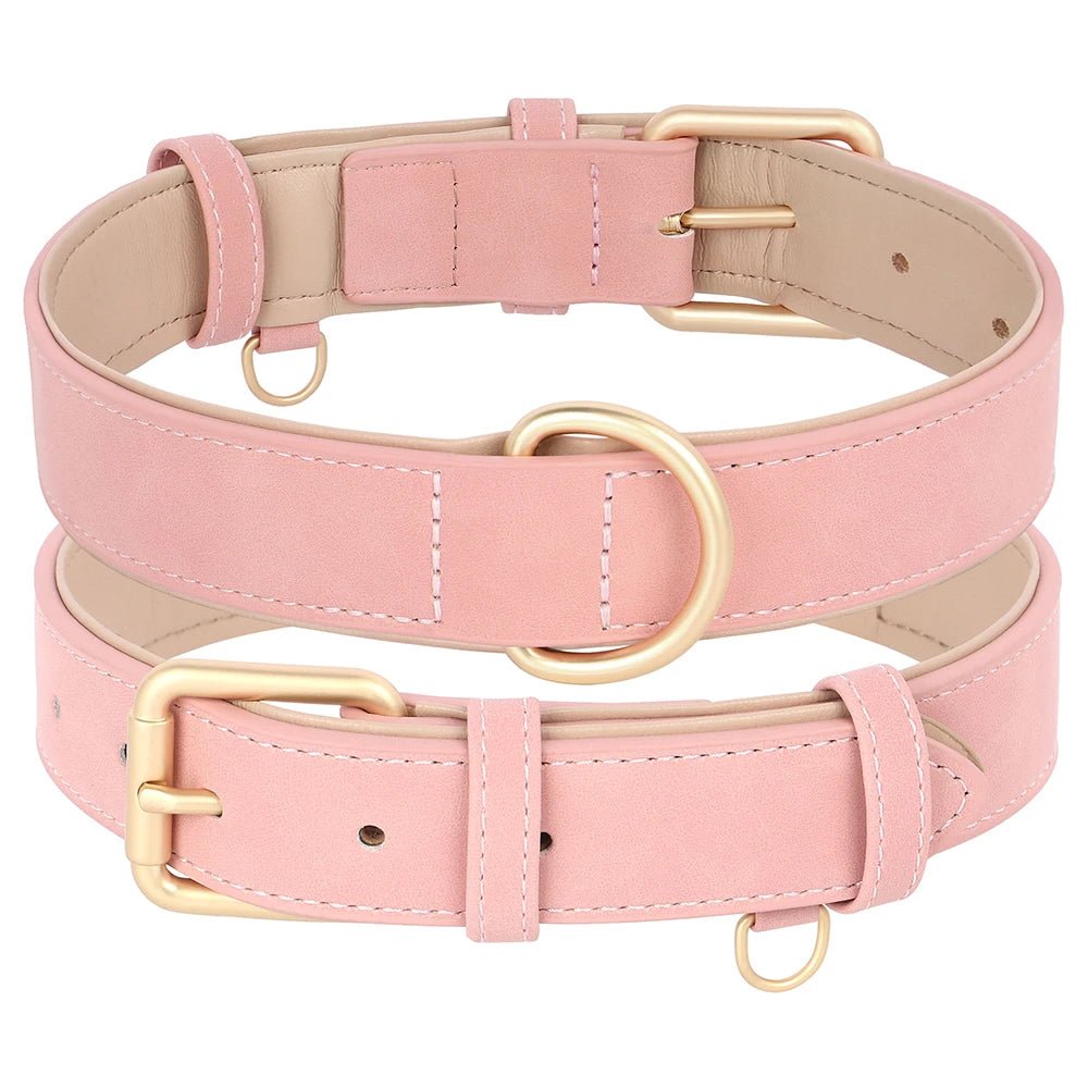 Collier élégant pour chien – Ensemble confort et style