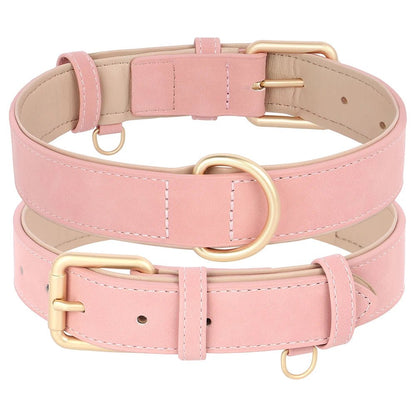 Collier élégant pour chien – Ensemble confort et style