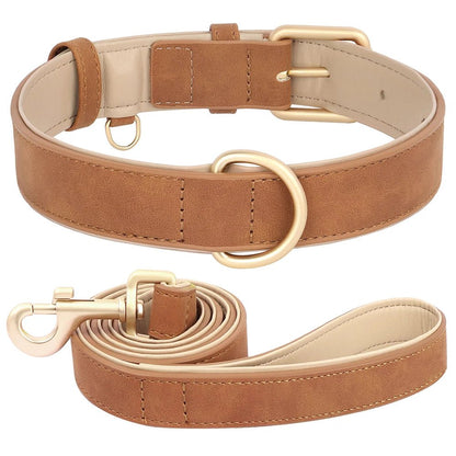 Collier élégant pour chien – Ensemble confort et style