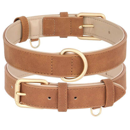 Collier élégant pour chien – Ensemble confort et style