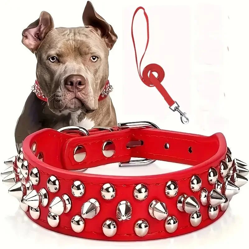 Collier et laisse Rock Chic pour chien – Style cuir élégant
