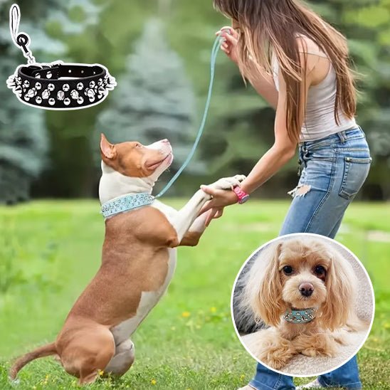 Collier et laisse Rock Chic pour chien – Style cuir élégant